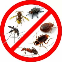 Инсектициды и акарициды (против насекомых-вредителей)